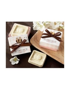 Lata planta tomate cherry