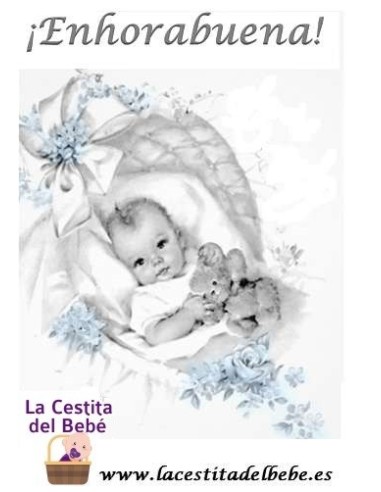 Cesta Gemelos Little