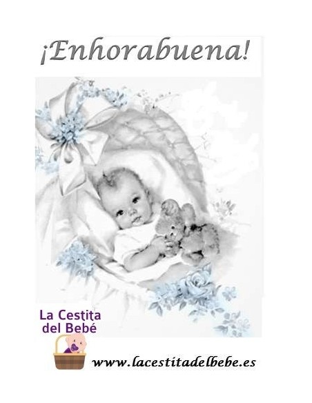 Cesta Gemelos Little