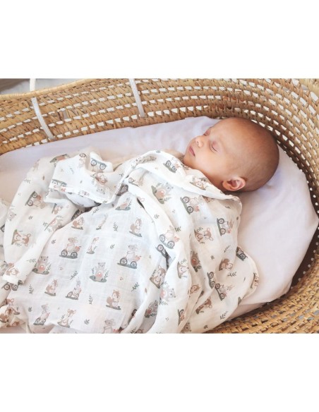 Muselina Aden Anais Disney Minnie