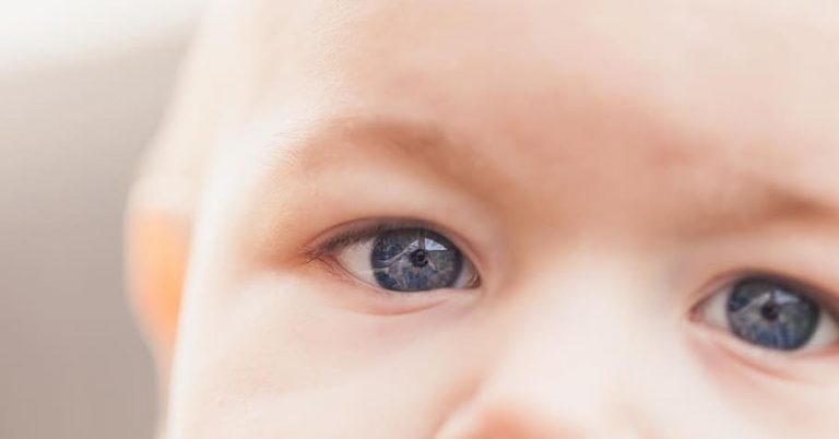 La Visión En Los Bebés Recién Nacidos Consejos Y Lo Que Debes Saber 9943
