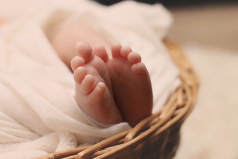 Canastillas y cestas para recién nacidos - Entre Tartas y Pañales - Blog de  bebés y puericultura